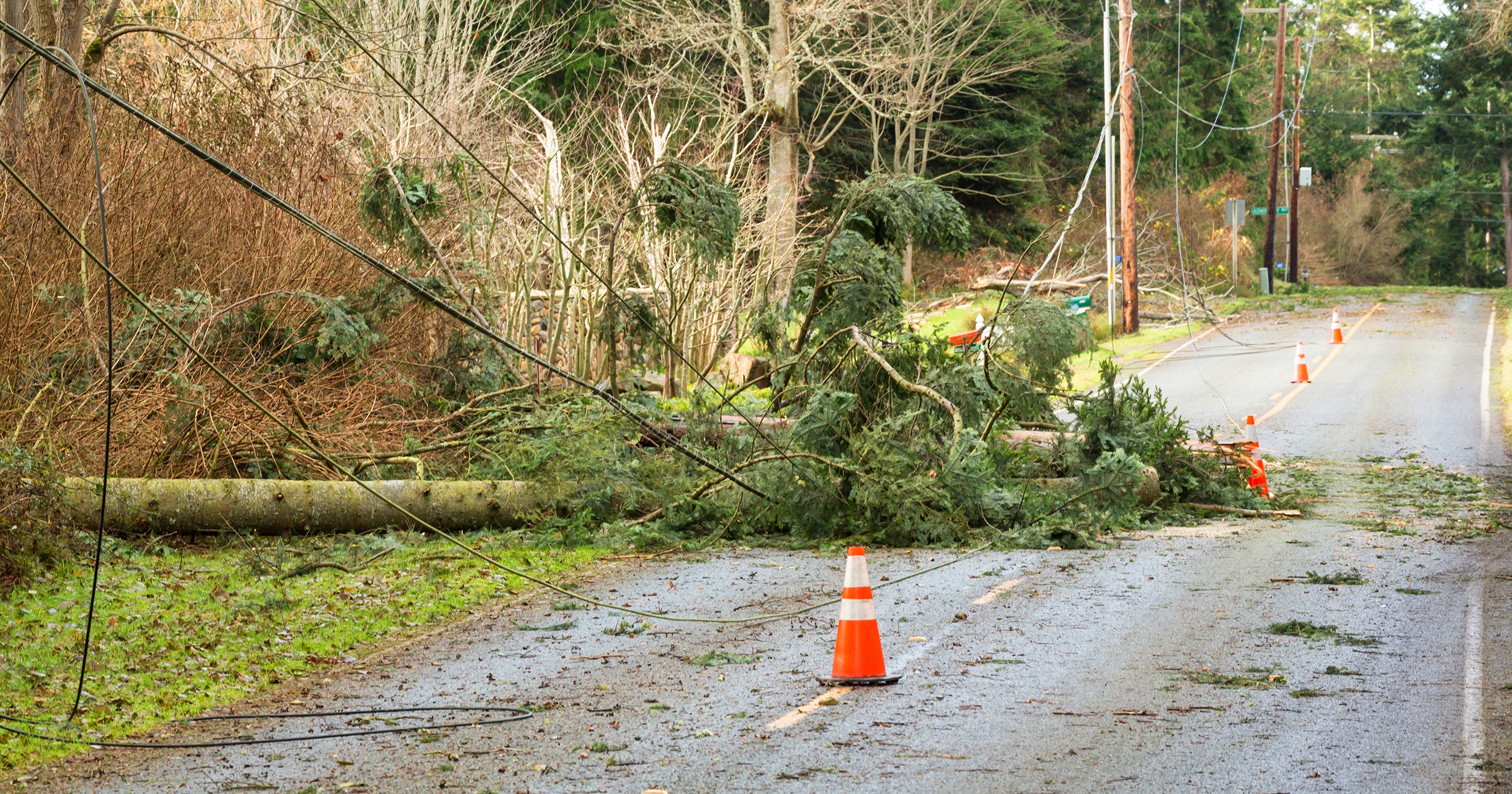 Downed line