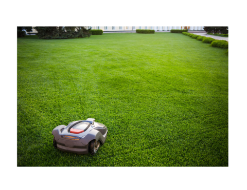 electric mower